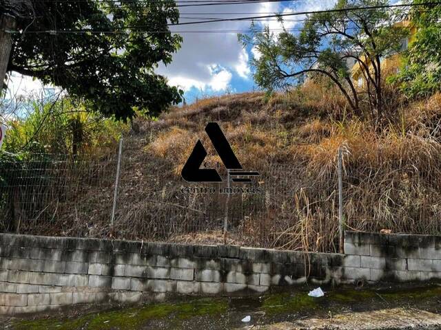 #02800 - Área para Venda em Belo Horizonte - MG - 1