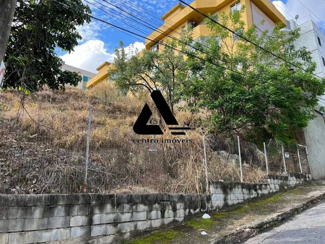 #02800 - Área para Venda em Belo Horizonte - MG - 3